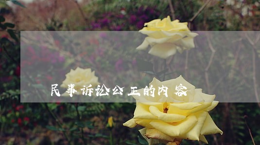 民事诉讼公正的内容 民事诉讼公正的内容