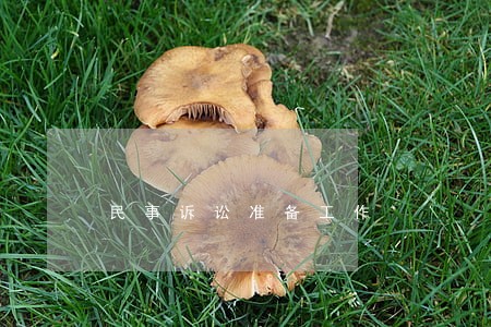 民事诉讼准备工作 民事诉讼准备工作