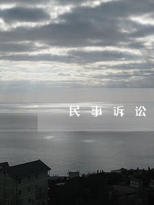 民事诉讼分为 民事诉讼分为