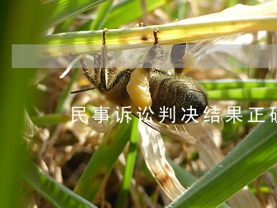 民事诉讼判决结果正确率 民事诉讼判决结果正确率