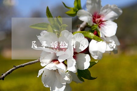 民事诉讼可以报警吗