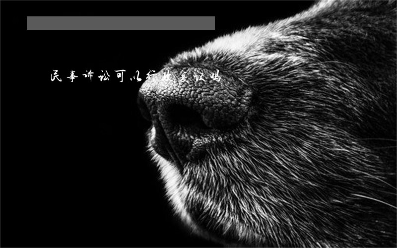民事诉讼可以行政复议吗 民事诉讼可以行政复议吗