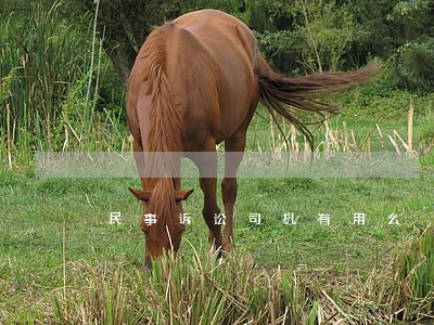 民事诉讼司机有用么