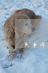 民事诉讼和调查 民事诉讼和调查
