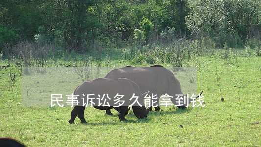 民事诉讼多久能拿到钱 民事诉讼多久能拿到钱