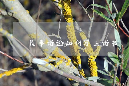民事诉讼如何写上诉书 民事诉讼如何写上诉书