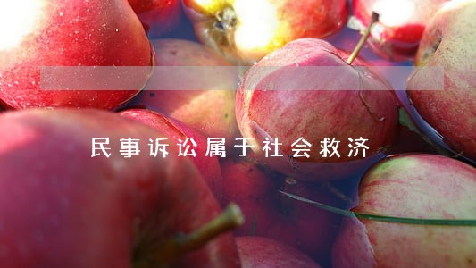民事诉讼属于社会救济