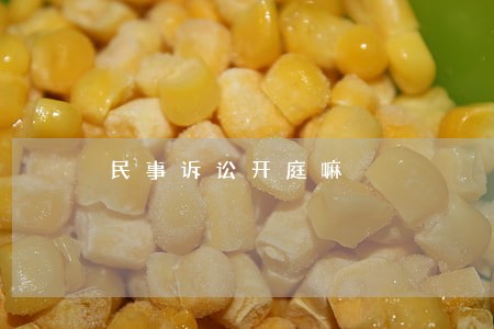 民事诉讼开庭嘛 民事诉讼开庭嘛