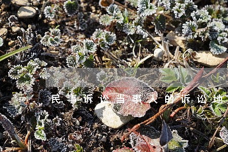 民事诉讼当事人的诉讼地位 民事诉讼当事人的诉讼地位