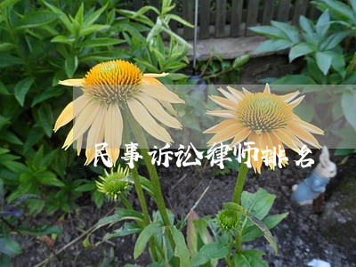 民事诉讼律师排名