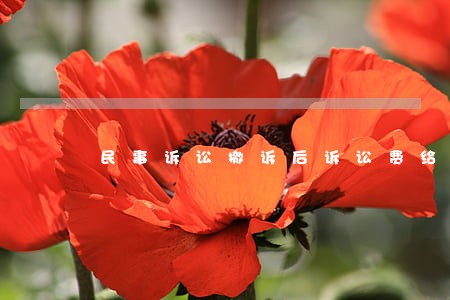民事诉讼撤诉后诉讼费给退吗 民事诉讼撤诉后诉讼费给退吗