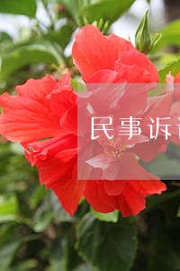 民事诉讼时效后果相关问答 民事诉讼时效后果相关问答
