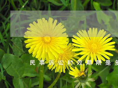 民事诉讼时效期限是多久