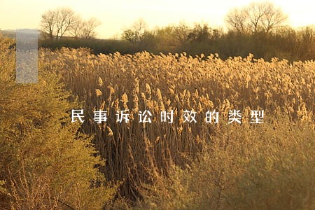 民事诉讼时效的类型 民事诉讼时效的类型