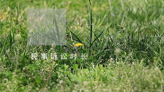 民事诉讼时长 民事诉讼时长
