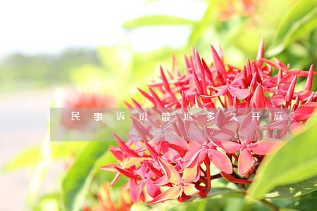 民事诉讼最迟多久开庭 民事诉讼最迟多久开庭