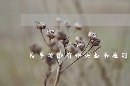 民事诉讼有哪些基本原则 民事诉讼有哪些基本原则