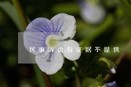 民事诉讼有证据不提供 民事诉讼有证据不提供