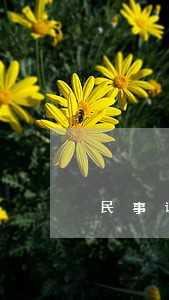 民事诉讼案由