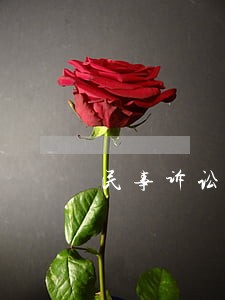 民事诉讼欠7000元不还 民事诉讼欠7000元不还