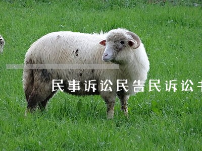 民事诉讼民告民诉讼书