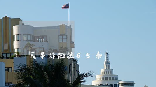 民事诉讼法65条 民事诉讼法65条