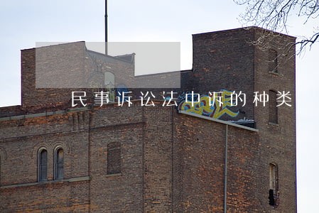 民事诉讼法中诉的种类 民事诉讼法中诉的种类