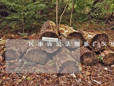 民事诉讼法侧重广义还是狭义 民事诉讼法侧重广义还是狭义