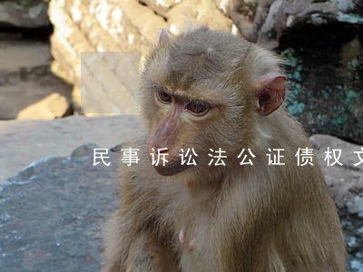 民事诉讼法公证债权文书 民事诉讼法公证债权文书