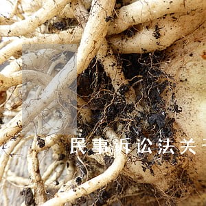 民事诉讼法关于举证的法律规定 民事诉讼法关于举证的法律规定