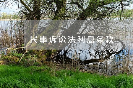 民事诉讼法利息条款 民事诉讼法利息条款