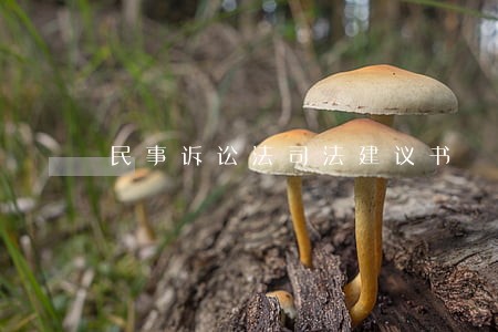 民事诉讼法司法建议书 民事诉讼法司法建议书