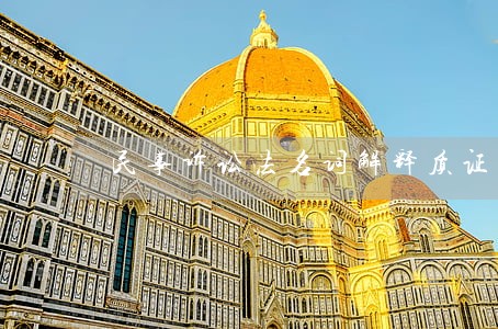 民事诉讼法名词解释质证