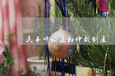 民事诉讼法和仲裁制度 民事诉讼法和仲裁制度