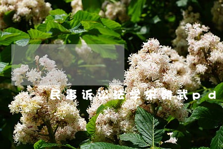 民事诉讼法学宋朝武pdf 民事诉讼法学宋朝武pdf