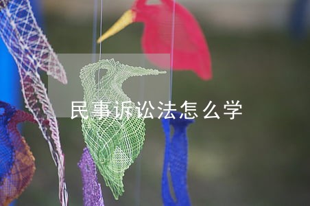 民事诉讼法怎么学 民事诉讼法怎么学