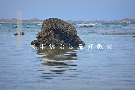 民事诉讼法最好教材 民事诉讼法最好教材