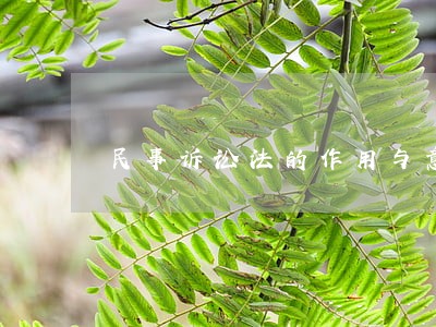 民事诉讼法的作用与意义 民事诉讼法的作用与意义