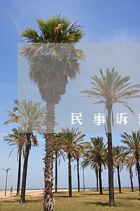 民事诉讼法的内容结构图 民事诉讼法的内容结构图