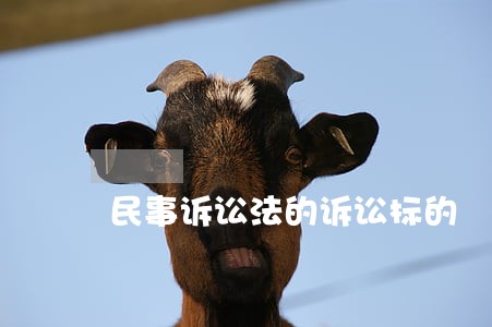 民事诉讼法的诉讼标的 民事诉讼法的诉讼标的