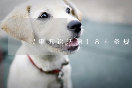 民事诉讼法第184条规定 民事诉讼法第184条规定