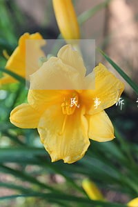 民事诉讼法终止审理 民事诉讼法终止审理