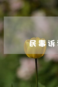 民事诉讼法自认的规定 民事诉讼法自认的规定