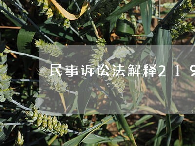 民事诉讼法解释219条