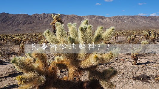 民事诉讼法解释91