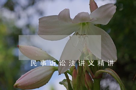 民事诉讼法讲义精讲