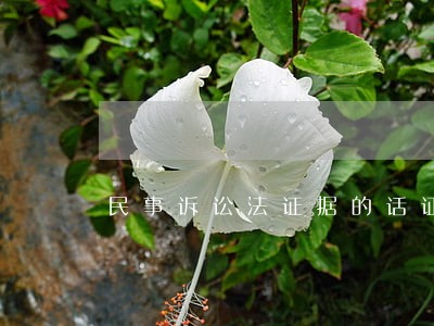 民事诉讼法证据的话证明责任 民事诉讼法证据的话证明责任