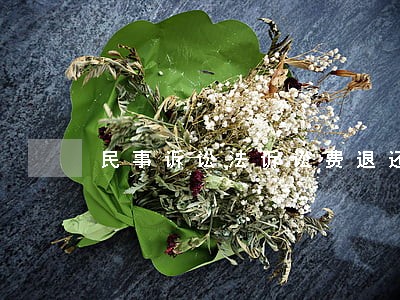 民事诉讼法诉讼费退还