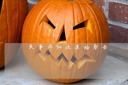 民事诉讼法适格原告 民事诉讼法适格原告