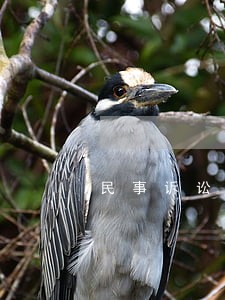 民事诉讼法重点整理 民事诉讼法重点整理